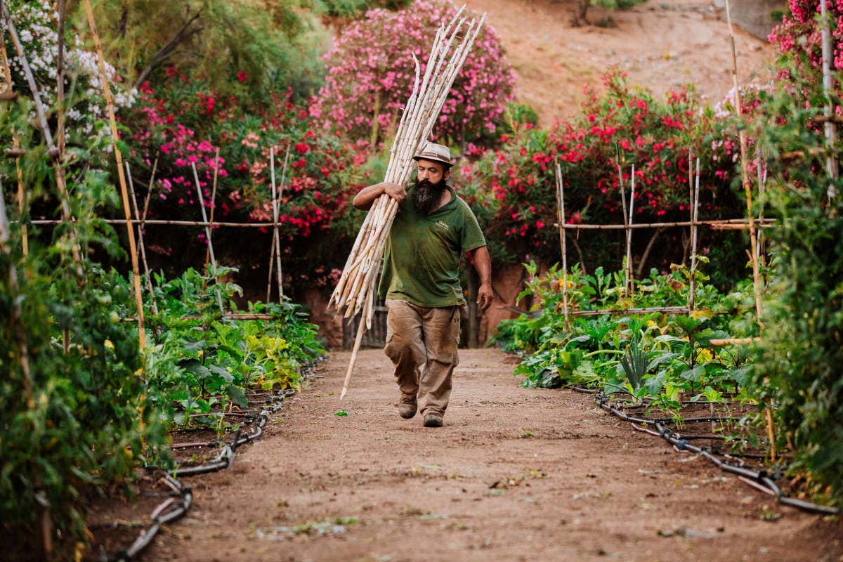 Un'oasi di relax e natura in Sardegna: l'Arbatax Park Resort & Spa