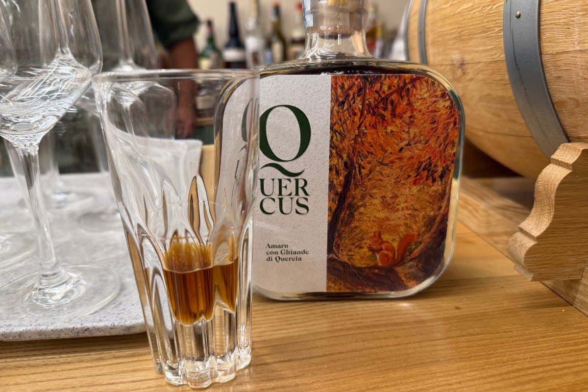 Parco delle Querce, agriturismo contemporaneo che valorizza la Tuscia