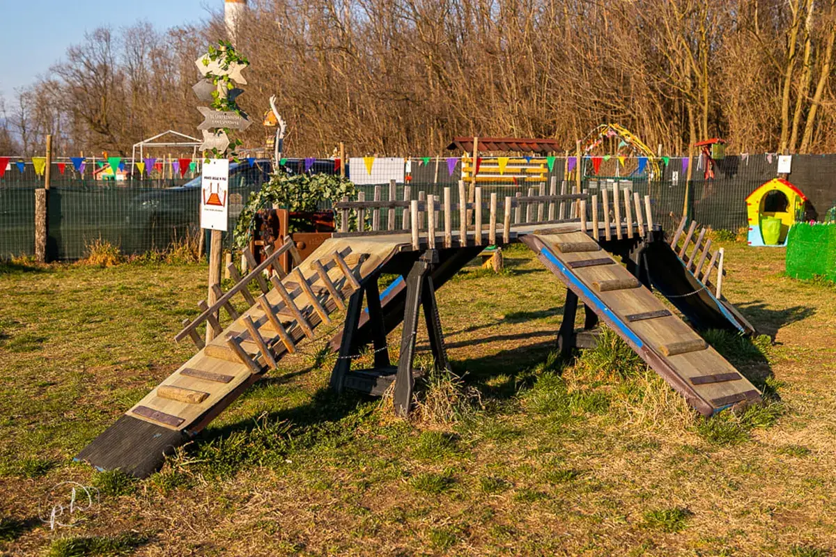 Iagolandia, un parco giochi a tema solo per i cani Nel Comasco un parco giochi a... 4 zampe