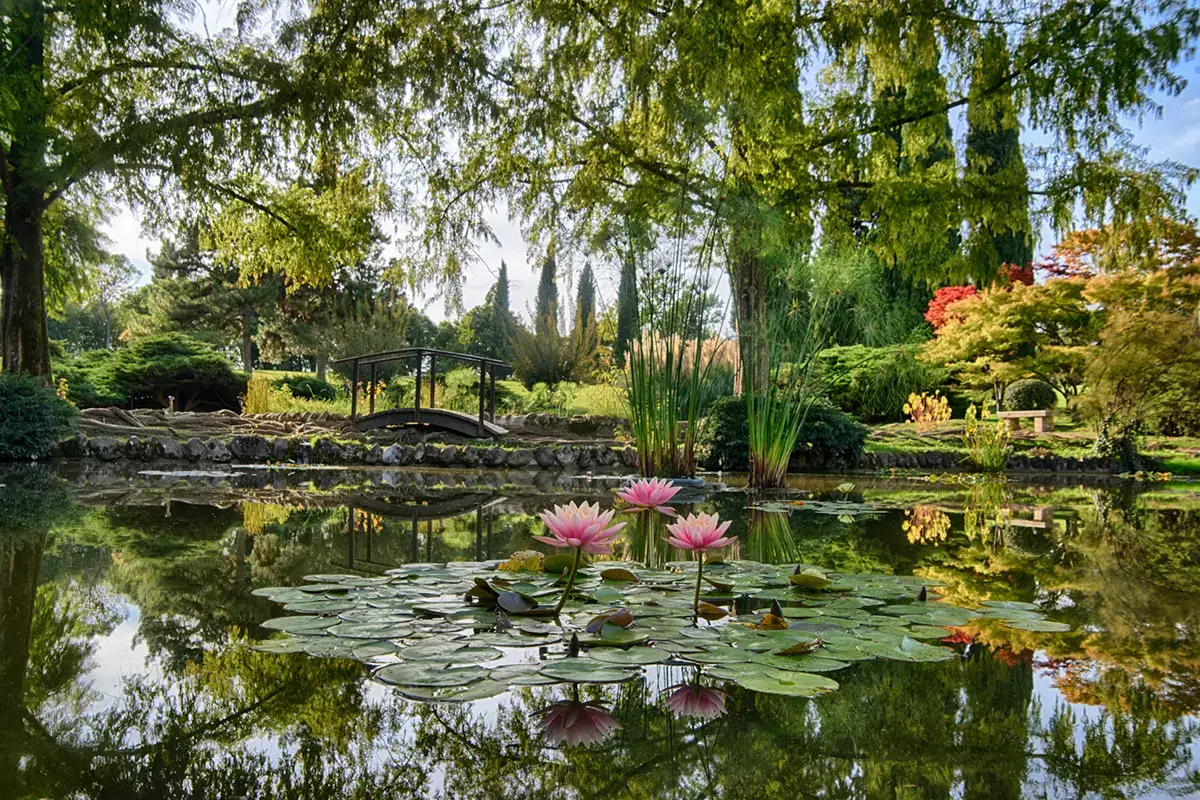 Paradiso verde a due passi dal Lago di Garda Fiori, piante e animali fantastici: i tesori del Parco Giardino Sigurt&agrave;