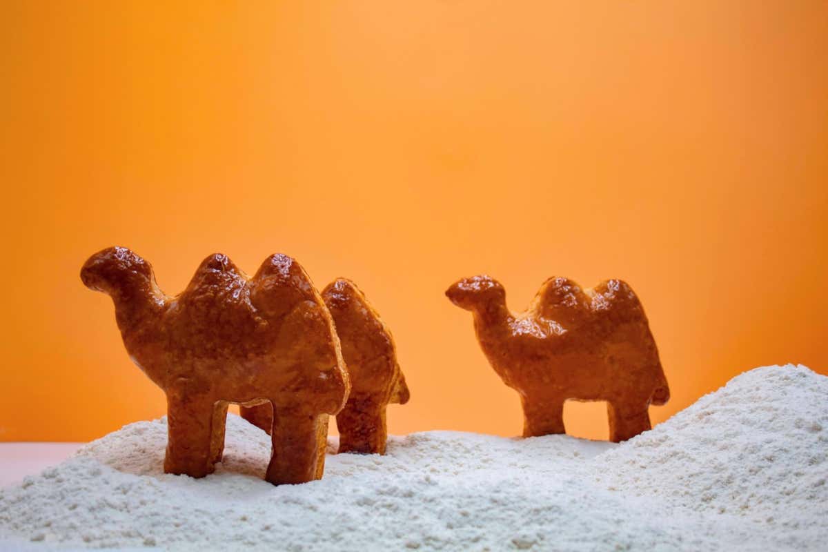 Il Cammello di Sfoglia Pariani torna protagonista dell’Epifania varesotta Il Cammello di Sfoglia Pariani torna protagonista dell’Epifania varesotta