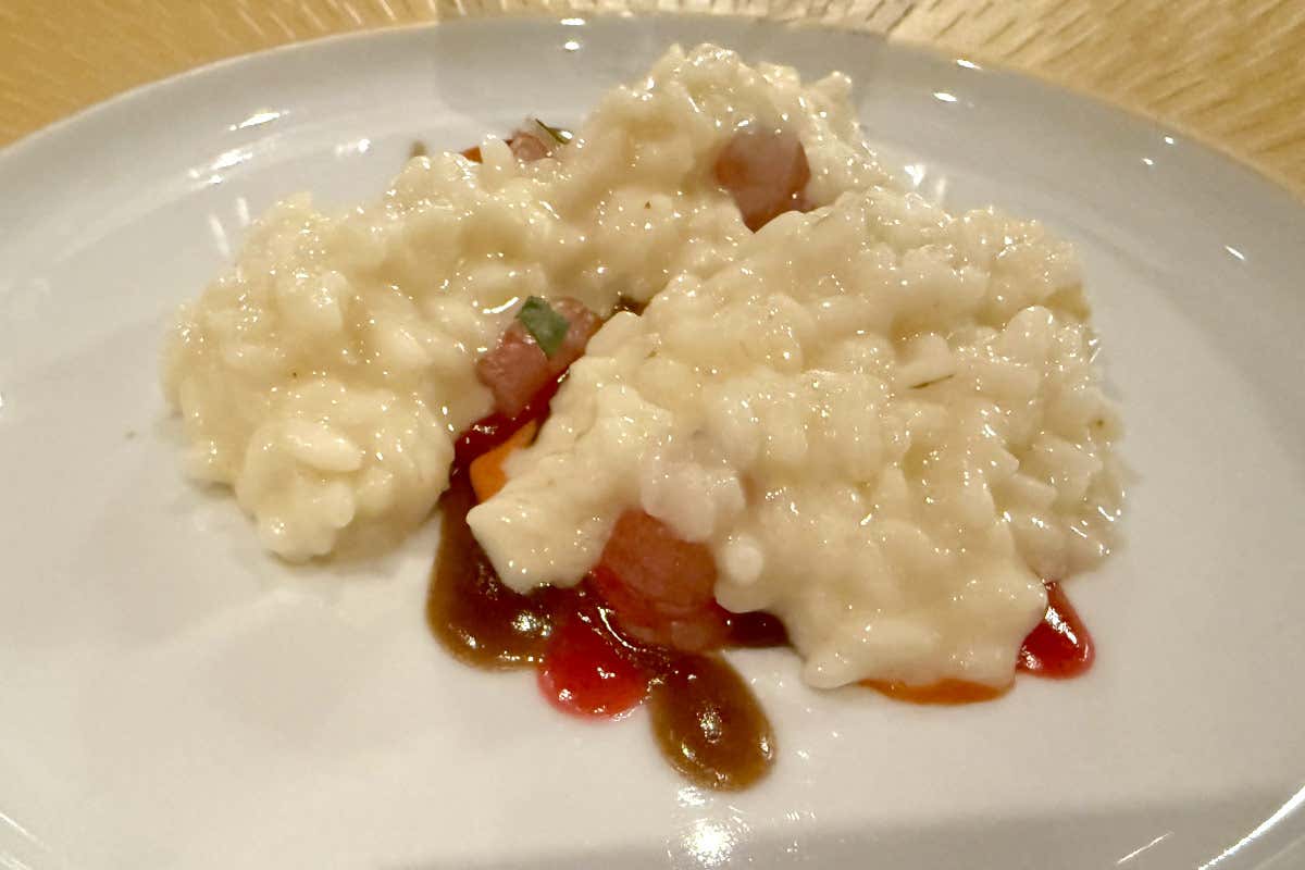 RAGGIO DI SOLE - Riso carnaroli cotto in estrazione di foglie di limone, gamberi rossi al naturale, olio al dragoncello e jus di lampone fermentato - Hotel Parker's