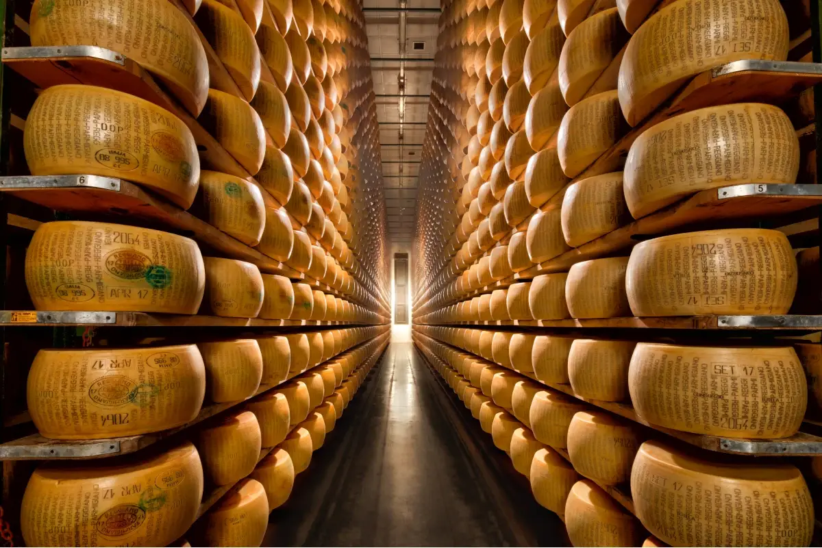 Parma 2064 (foto Paolo Gepri) Cibo, natura e cultura: sono gli ingredienti dell'estate emiliana