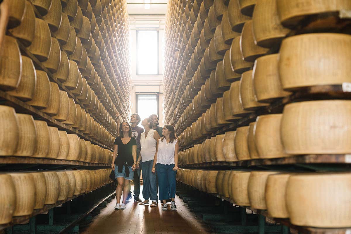 Caseifici Aperti Parmigiano Reggiano punta su export, eventi e biodiversità Caseifici Aperti Parmigiano Reggiano punta su export, eventi e biodiversità