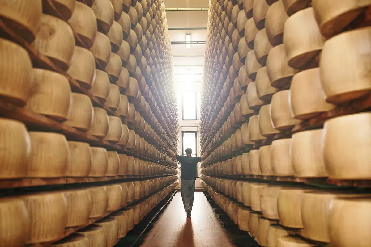 Parmigiano Reggiano batte Kraft: il marchio &ldquo;Parmesan cheese&rdquo; non pu&ograve; essere registrato