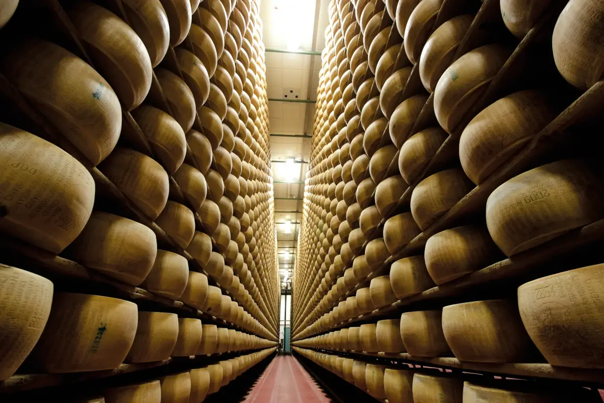 Parmigiano Reggiano protagonista ai World Cheese Awards World Cheese Awards, 2&deg; posto per il Gorgonzola Dolce Dop De' Magi