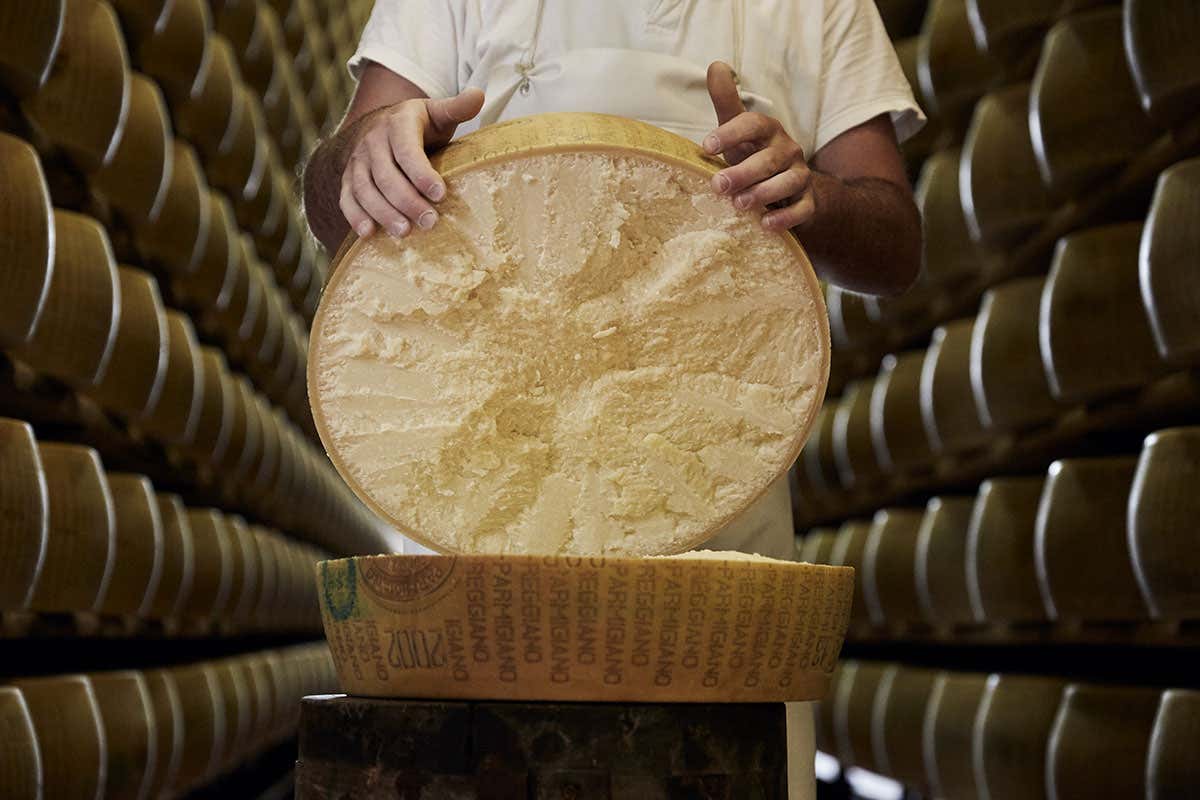 Parmigiano Reggiano, l’Accademia in campo per formare chi lo serve Parmigiano Reggiano, l’Accademia in campo per formare chi lo serve