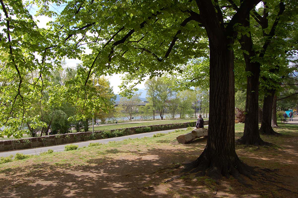 Parco Bioenergetic. Fonte: Comune di Bolzano L’altra faccia della natura alpina? Ecco cosa fare di diverso in montagna