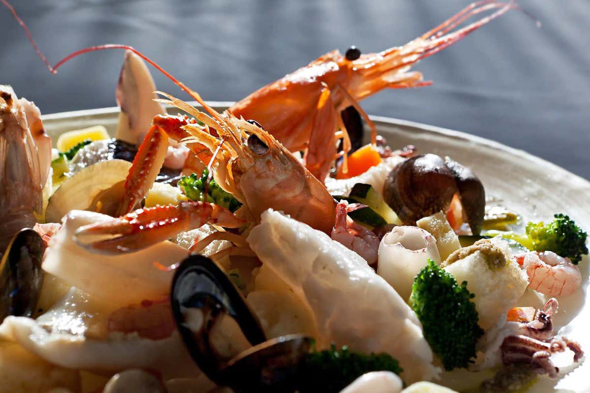 Vent’anni di Al Capitan, il mare di Andrea Manzoli che ha cambiato Verona Vent’anni di Al Capitan, il mare di Andrea Manzoli che ha cambiato Verona