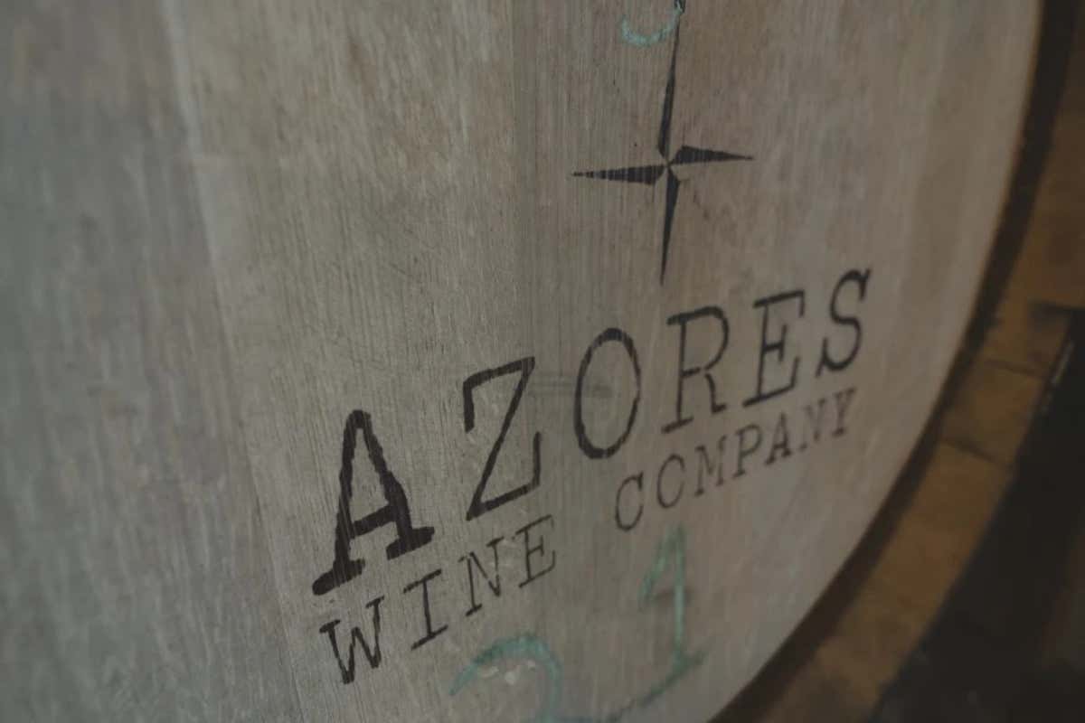 Azores Wine Company, uno dei principali player del vino portoghese