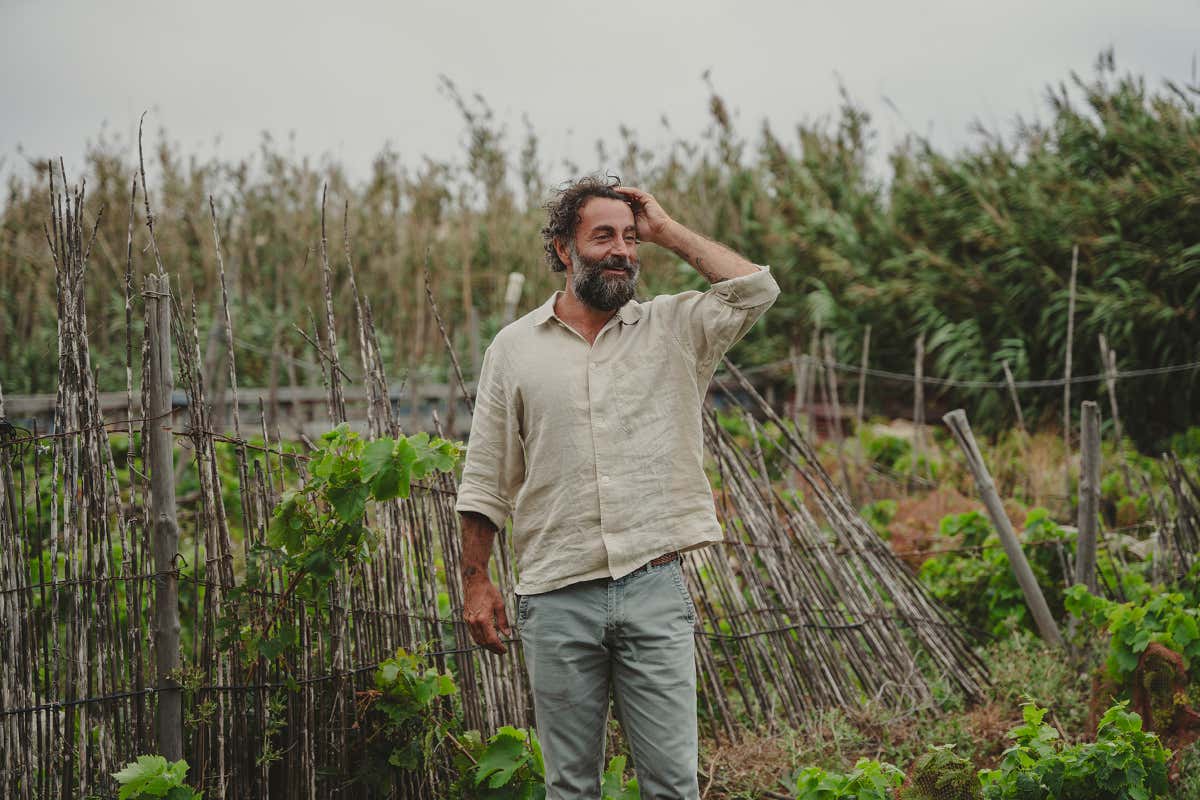 Edoardo Ligabue tra le vigne di Porto Santo