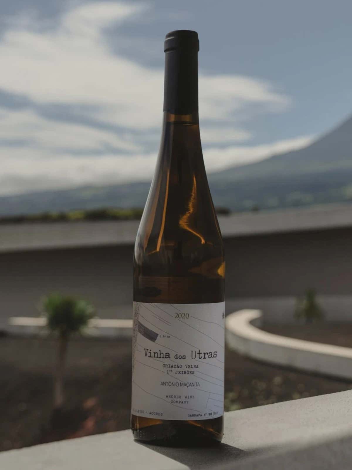 Vinha dos Utras, di Azores Wine Company