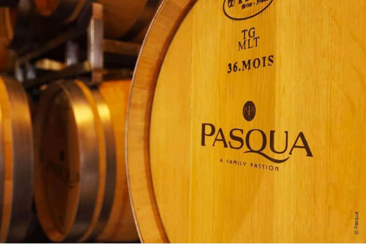 Pasqua Vini è presente in 72 Paesi e produce quasi 1 milione di bottiglie Pasqua Vini guarda al futuro con gli occhi dei giovani