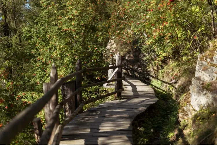 Belle le passeggiate nei dintorni Terme di Merano, non solo benessere. Ecco 5 cose imperdibili
