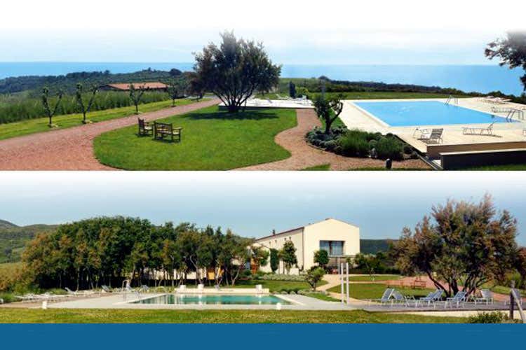 (La passione per un luogo unico La costa Toscana dei vigneti Fortulla) (La passione per un luogo unico La costa Toscana dei vigneti Fortulla)