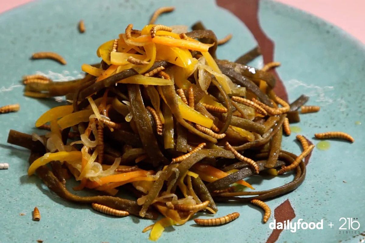Seaweed pasta with worms Eating insects: the future of sustainable food is already here!