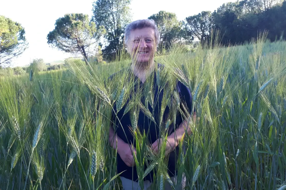 Carlo Latini in un campo di Senatore Cappelli&nbsp; Pastificio Latini, da trent'anni artefice della rinascita del &ldquo;Senatore Cappelli&rdquo;
