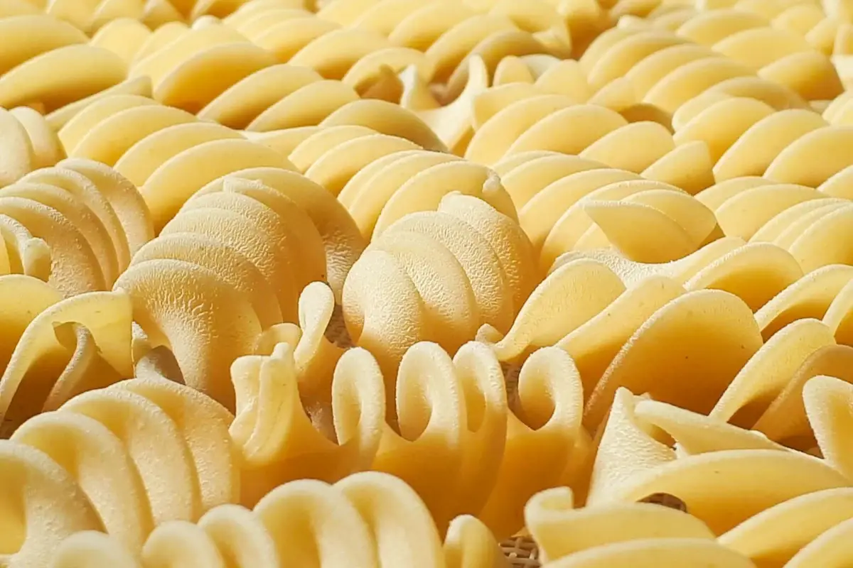 Pasta di grano Senatore Cappelli&nbsp; Pastificio Latini, da trent'anni artefice della rinascita del &ldquo;Senatore Cappelli&rdquo;