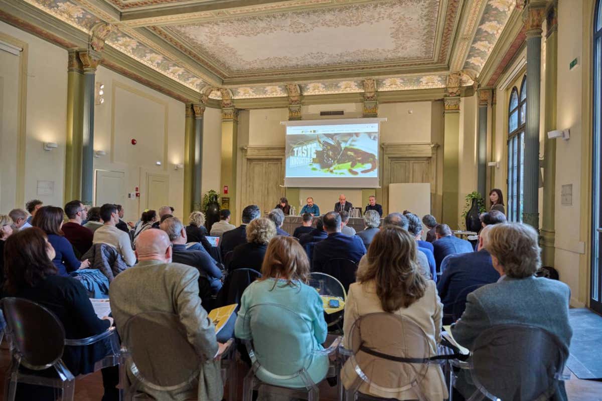 Taste Innovators: sette chef raccontano la patata Primura in chiave gourmet Taste Innovators: sette chef raccontano la patata Primura in chiave gourmet