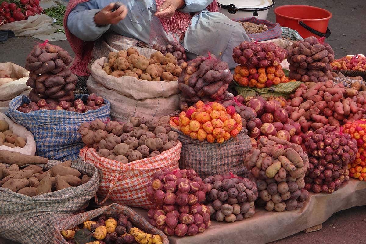 Ecco perché la cucina peruviana scala la vetta dei migliori ristoranti al mondo