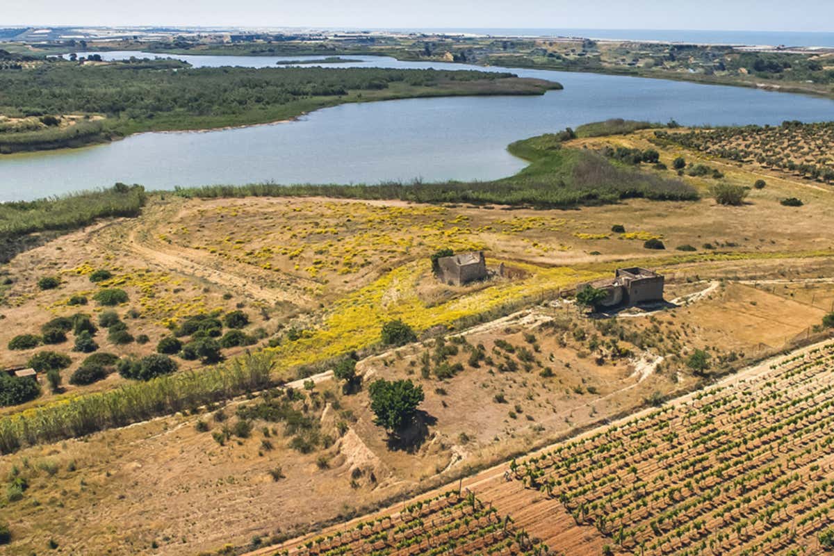 La riserva naturale del Lago Biviere e i vigneti di Casa Grazia
