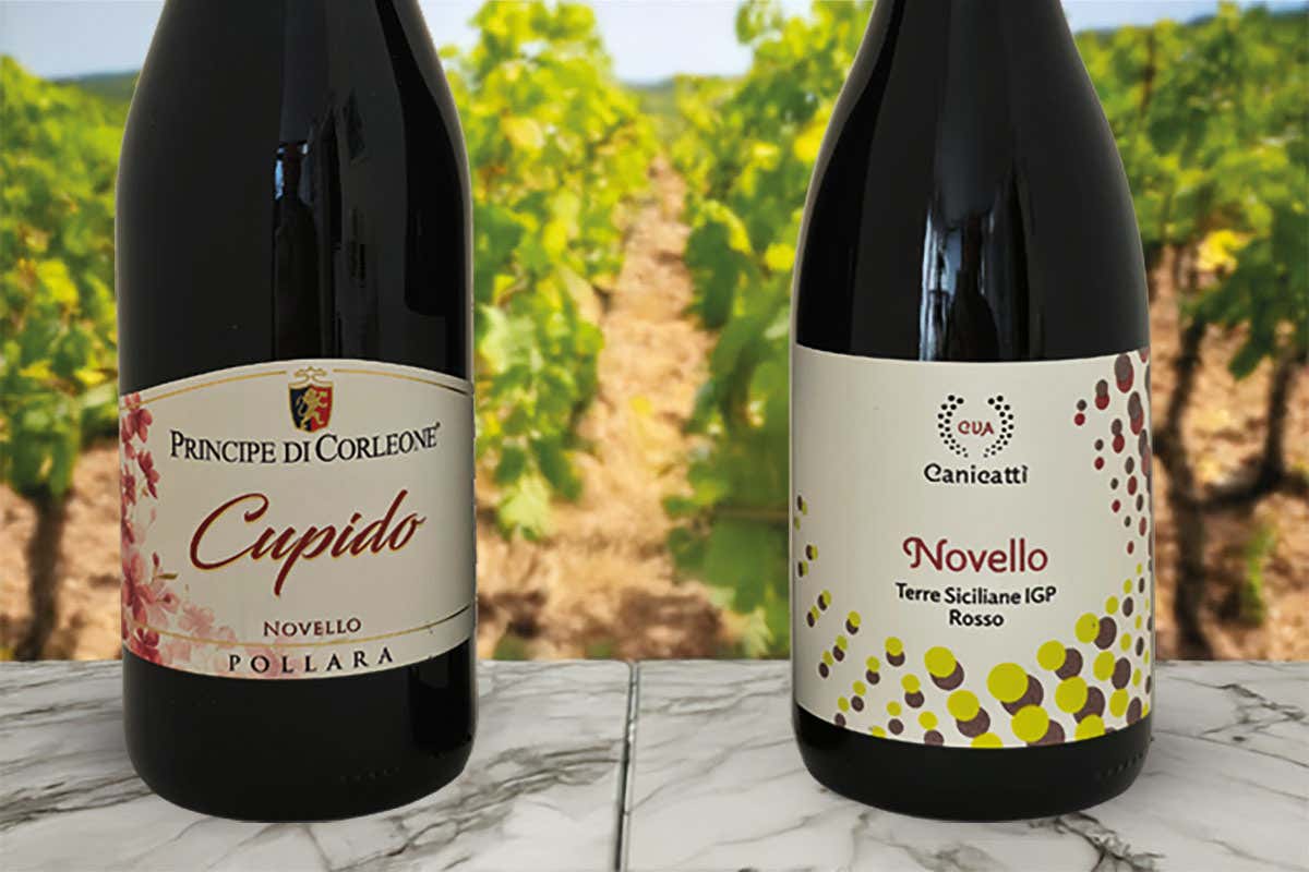 I Novello di CVA Canicattì e di Principe di Corleone, una Sicilia brillante