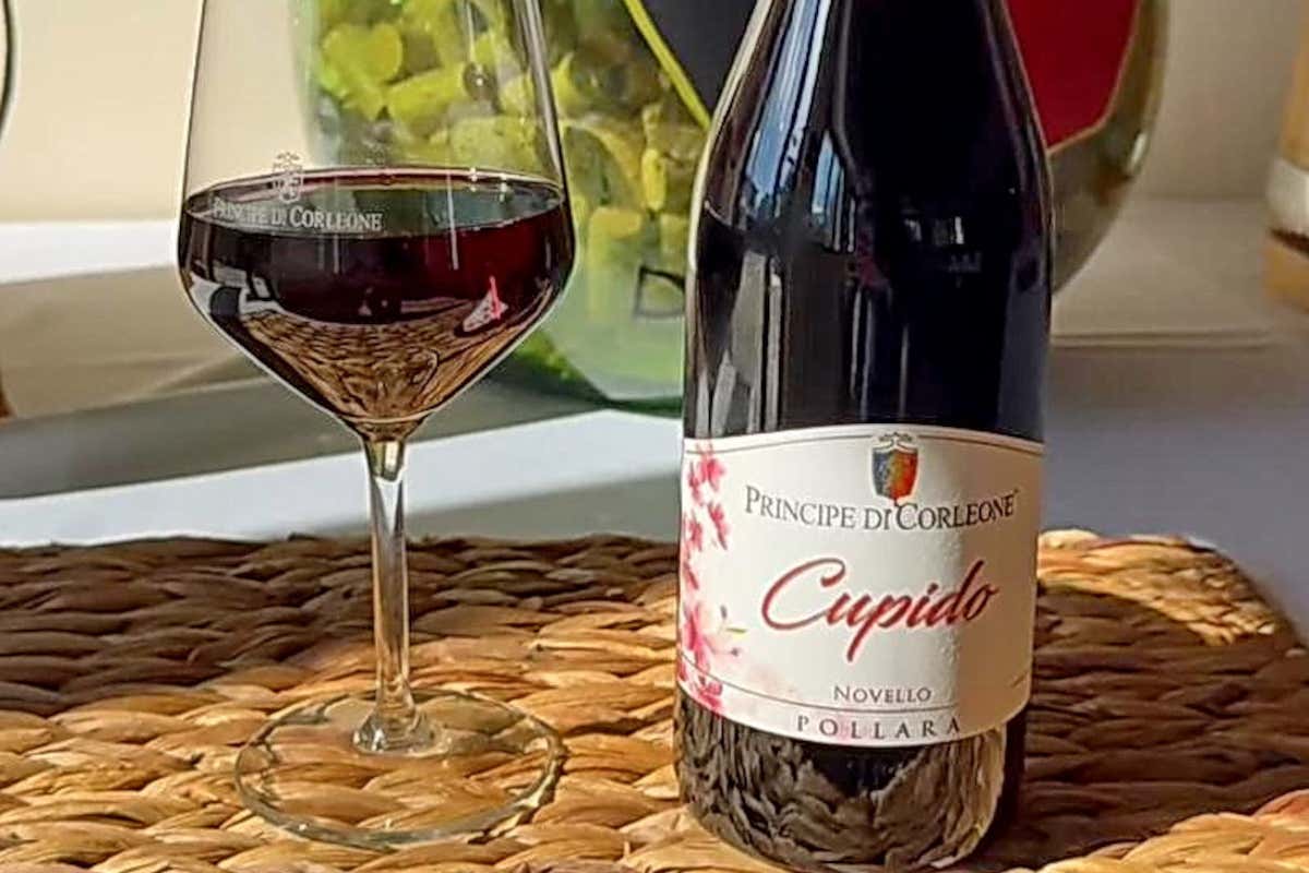 Il Novello in Sicilia non è morto: due Nero d’Avola lo dimostrano