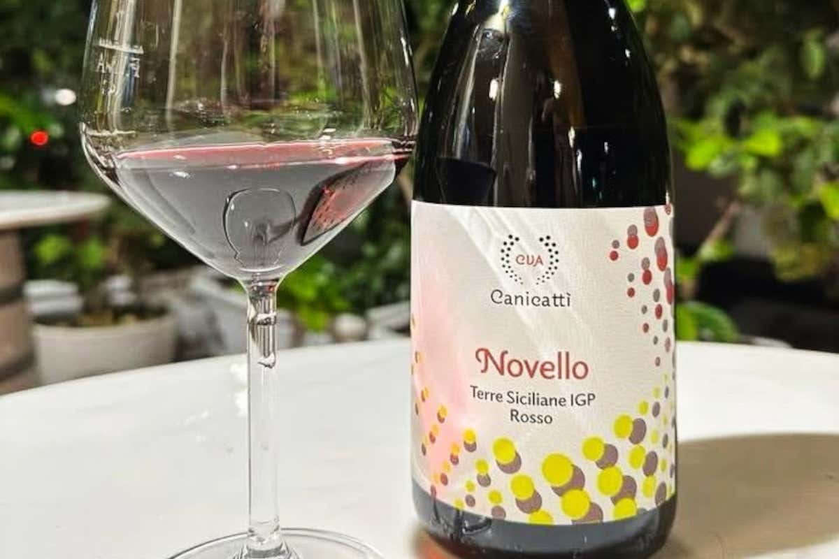 Il Novello in Sicilia non è morto: due Nero d’Avola lo dimostrano