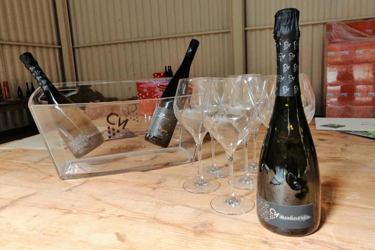 Dal Brut al Rosé: i migliori spumanti della Sicilia in Metodo Martinotti Dal Brut al Rosé: i migliori spumanti della Sicilia in Metodo Martinotti
