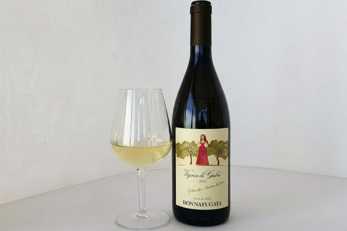 Il Vigna di Gabri 2024 Sicilia Doc di Donnafugata