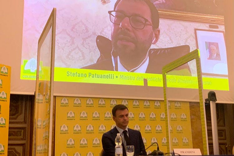 Stefano Patuanelli in videocollegamento con il Consiglio nazionale Coldiretti - «Stop alle etichette fuorvianti» La promessa di Patuanelli