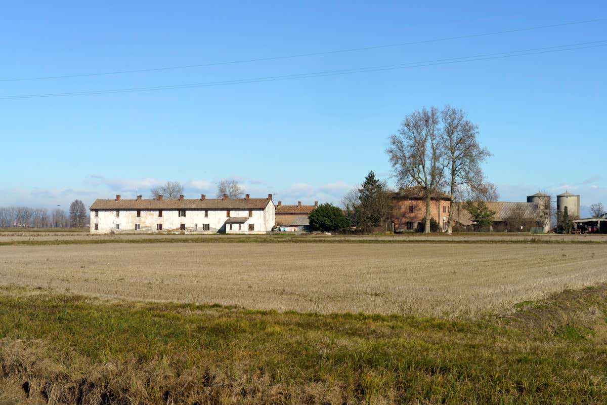 Fondo siccità, a Pavia arrivato solo il 3% della richiesta degli agricoltori