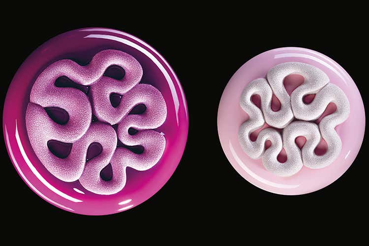 (Pavoni Italia, nuove collaborazioni e stampi dal design unico)