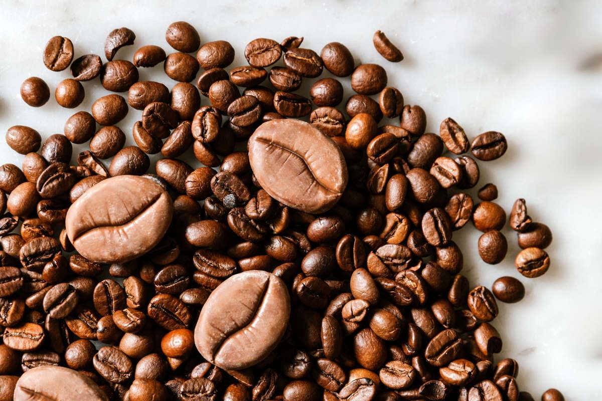 Pavoni Italia, nel nuovo catalogo Food Equipment 2024 tante novità per professionisti