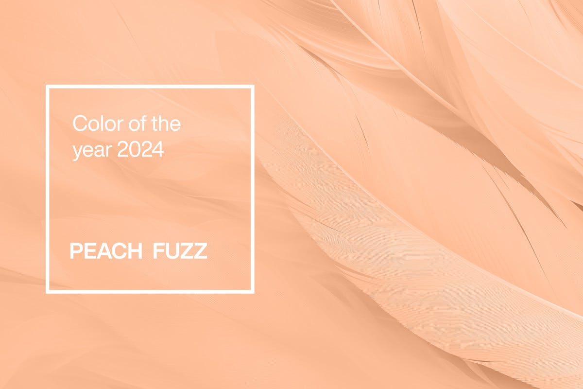 Peach fuzz: ecco 5 cibi che richiamano il colore Pantone per il 2024