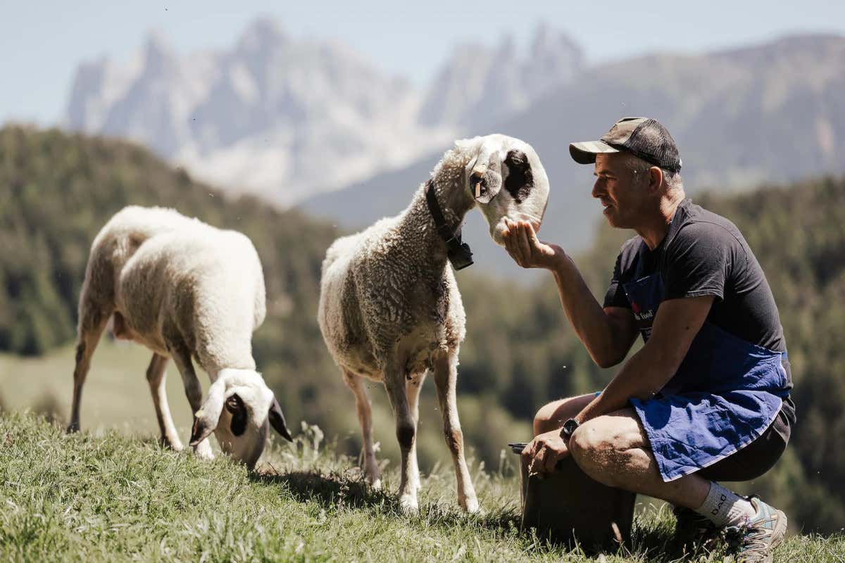 La Val d’Isarco da vero local: tappa nelle tipiche locande sudtirolesi La Val d’Isarco da vero local: tappa nelle tipiche locande sudtirolesi