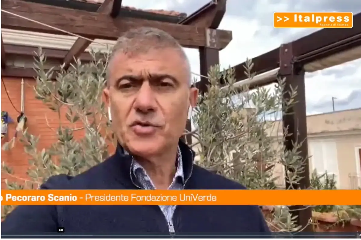 Alfonso Pecoraro Scanio Domino's Pizza, Pecoraro Scanio: &ldquo;Le pizzerie locali assumano gli ex dipendenti&rdquo;