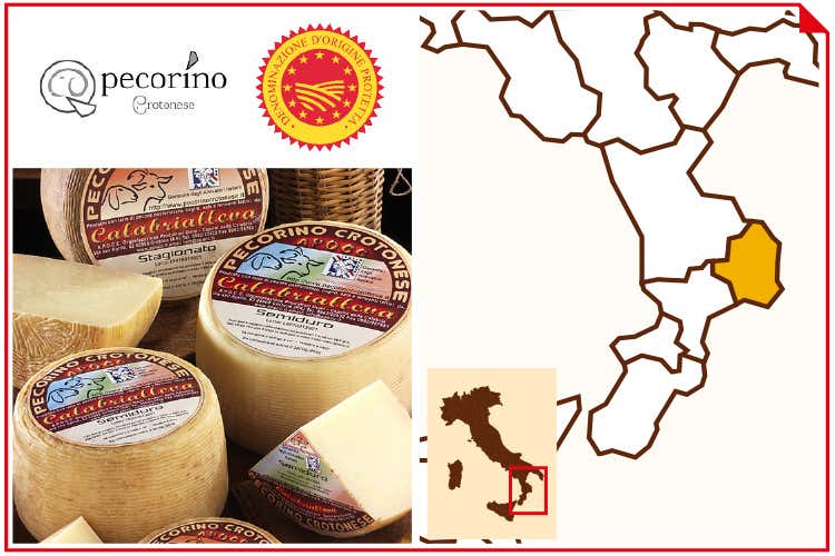 (Pecorino Crotonese Dop)