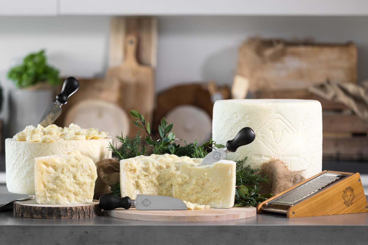 Pecorino Romano  Sos del Consorzio del Pecorino Romano: “L'agroalimentare dimenticato dalla politica”