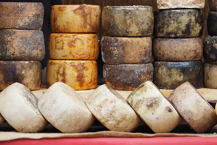 Sul progetto hanno scommesso 17 Comuni laziali Comuni del formaggio: in Lazio la rete con 17 citt&agrave;