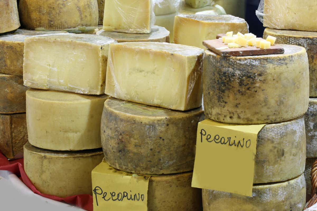 Assaggi di Lazio nel Salone del gusto di Viterbo Assaggi di Lazio nel Salone del gusto di Viterbo