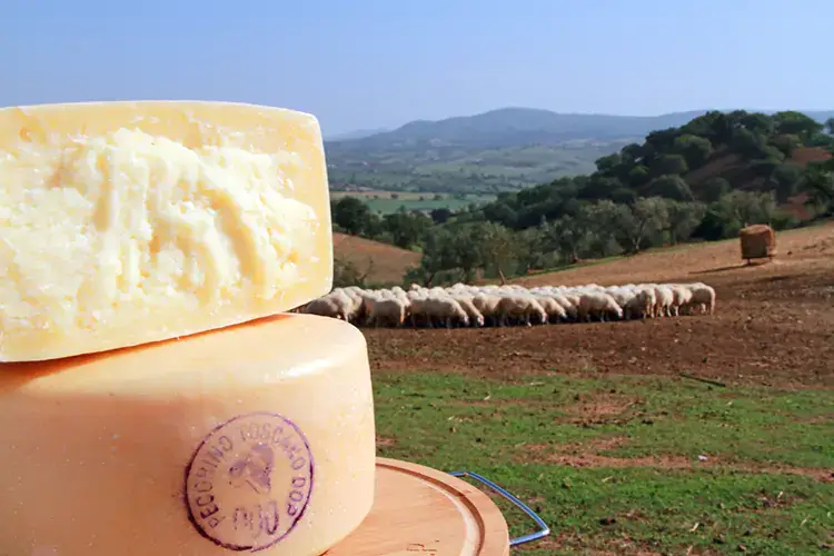 Pecorino Toscano Dop Economy, ecco perch&eacute; in Toscana funziona e fa bene al turismo