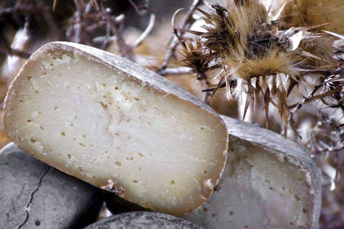 Sul tagliere dei formaggi: Gorgonzola, Pecorino delle Balze e Roccaverano