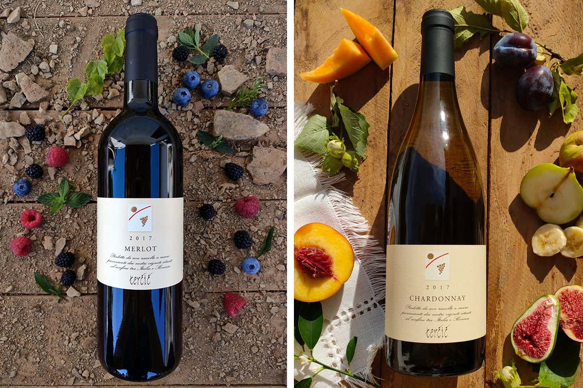 Vini Tercic Pellegrini Spa, un 2021 da record: quasi 20 milioni di fatturato Vini Tercic Pellegrini Spa, un 2021 da record: quasi 20 milioni di fatturato