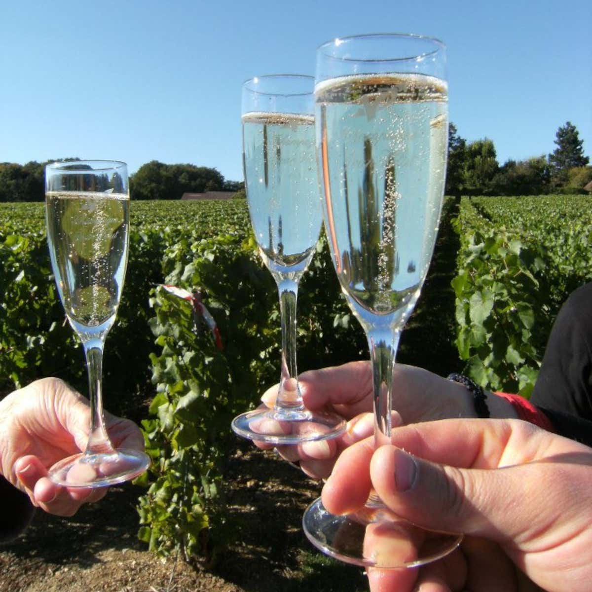 Lo champagne di Jean Velut, dalla collina di  Montgueux