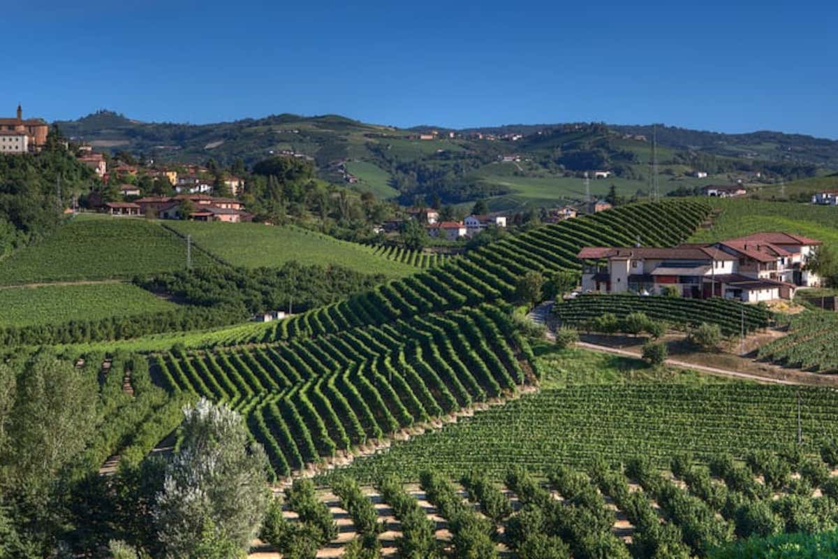 Pelissero, il Barbaresco del centenario celebra la storia dell'azienda