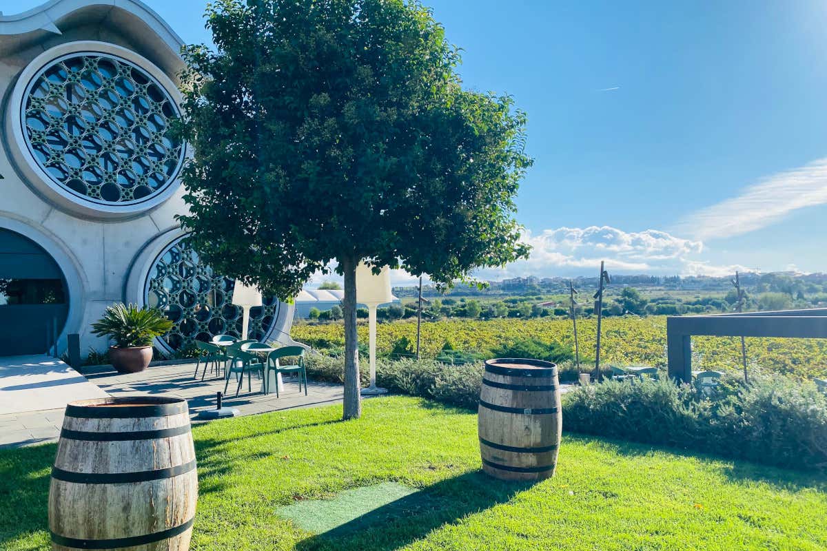 Viaggio fra le vigne del Penedès, la terra del Cava vicino a Barcellona Viaggio fra le vigne del Penedès, la terra del Cava vicino a Barcellona