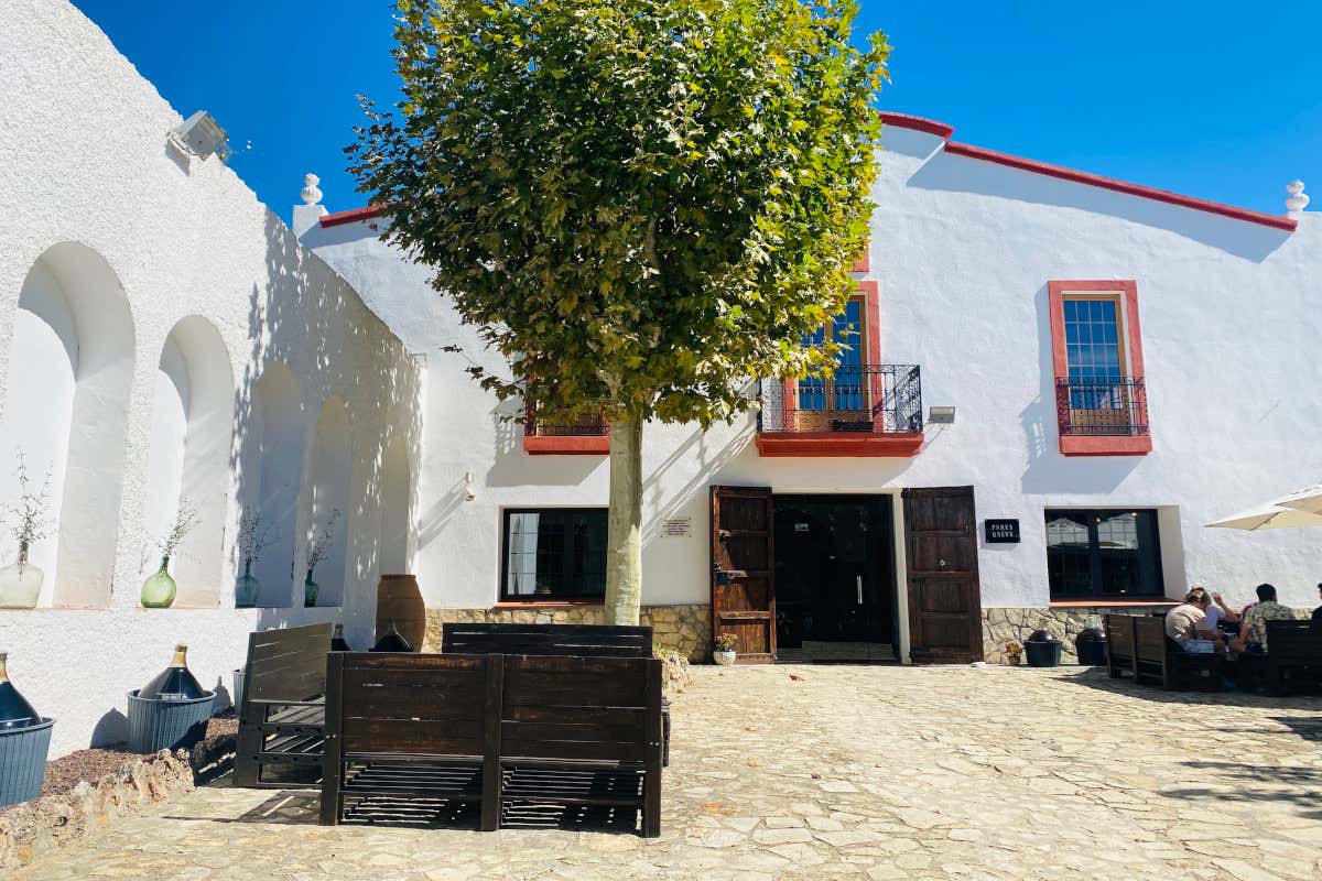 Viaggio fra le vigne del Penedès, la terra del Cava vicino a Barcellona Viaggio fra le vigne del Penedès, la terra del Cava vicino a Barcellona