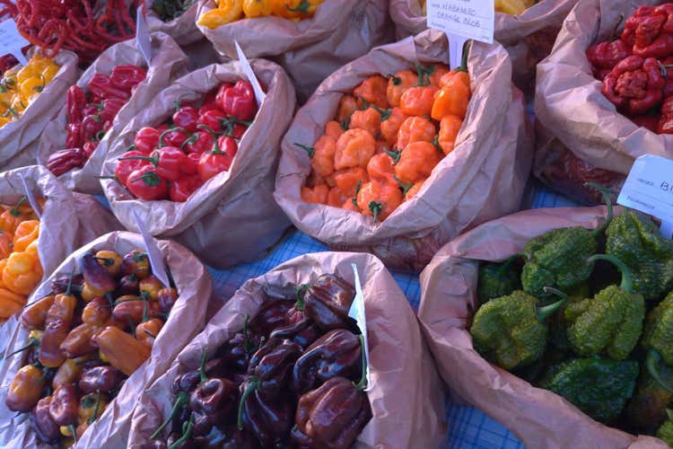 A Jesi torna Pikkanapa, il festival "hot" (Canapa e peperoncino Festival del piccante a Jesi)