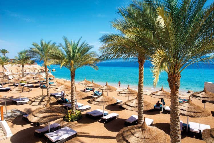 (Per Veratour si chiude un 2018 record Utile netto in crescita del 48,7%) (Per Veratour si chiude un 2018 record Utile netto in crescita del 48,7%)